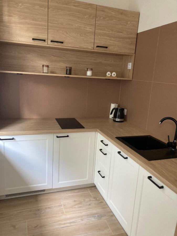 Apartament Grzaniec Szklarska Poręba Zewnętrze zdjęcie